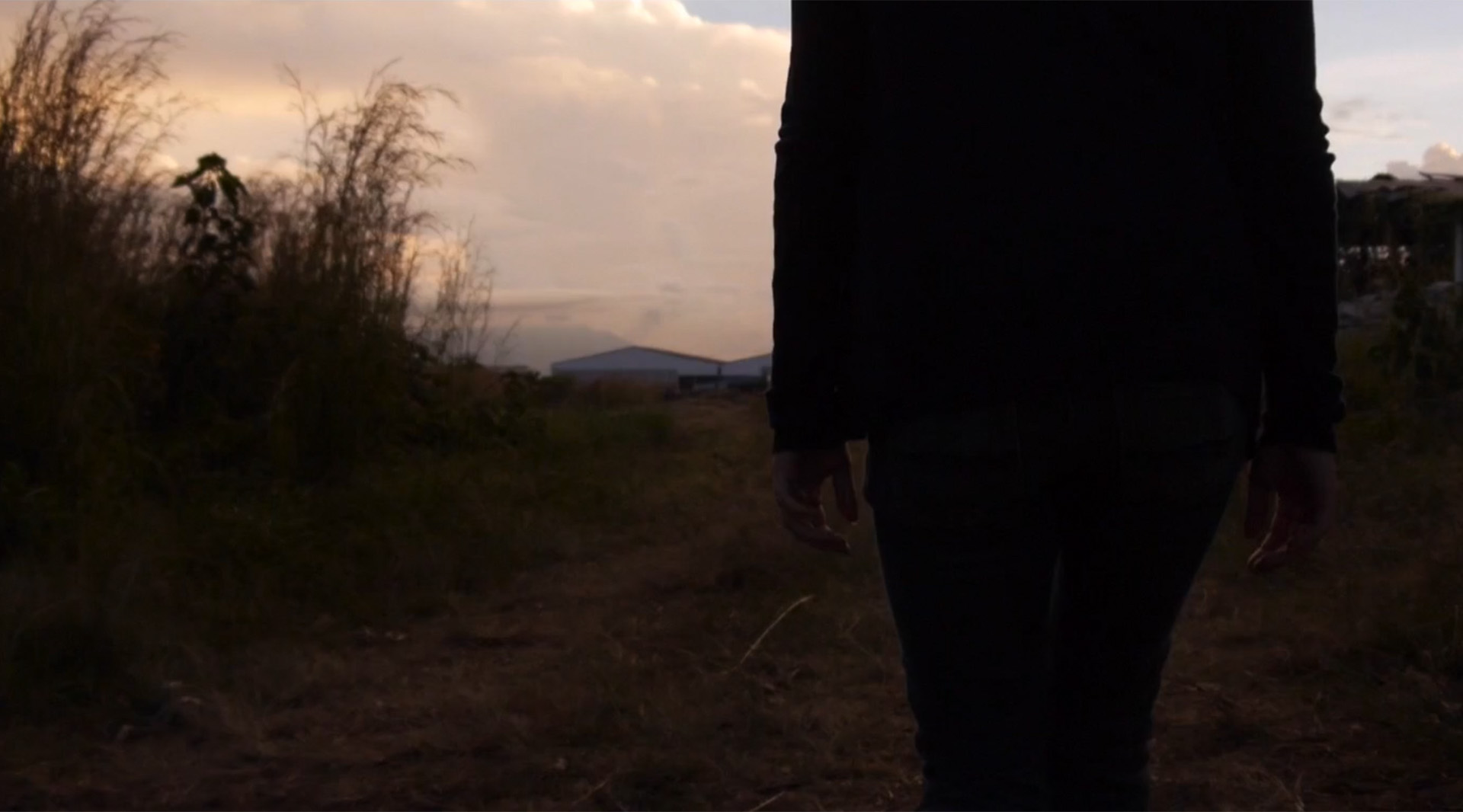 Ernesto Abrego - Light